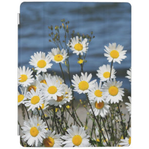 Daisy-Daisy iPad Smart Cover