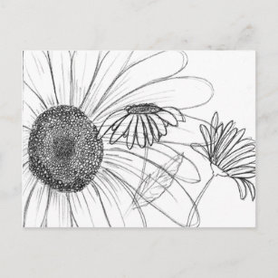 Daisy, Daisy Postcard