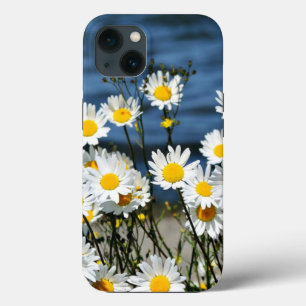 Daisy-Daisy, pretty wildflower daisies iPhone Case