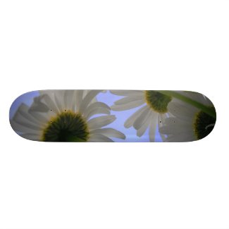 Daisy Day Skate Board
