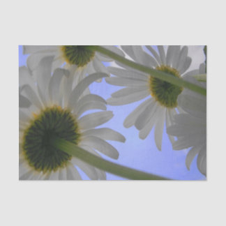 Daisy Day Tissue Paper