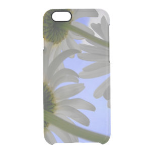 Daisy Day Clear iPhone 6/6S Case