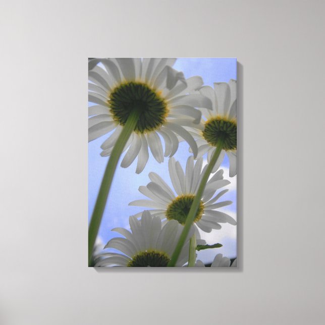 Daisy Day Wrapped Canvas Print (Front)