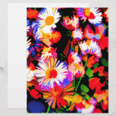 Daisy Daze (Front/Back)