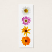 Daisy Daze (Back)