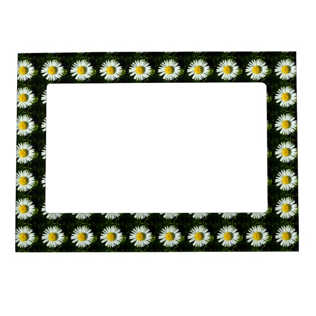 Daisy Daze Magnetic Frame (Front)