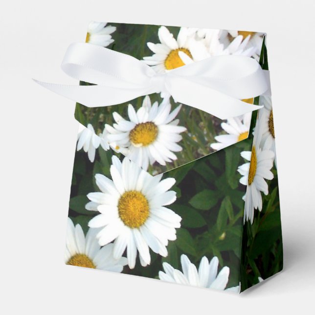 Daisy Delight Favor Box (Front Side)
