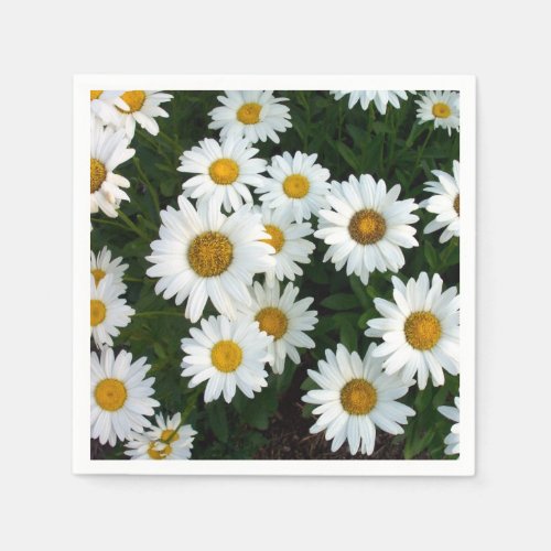 Daisy Delight Napkins Paper