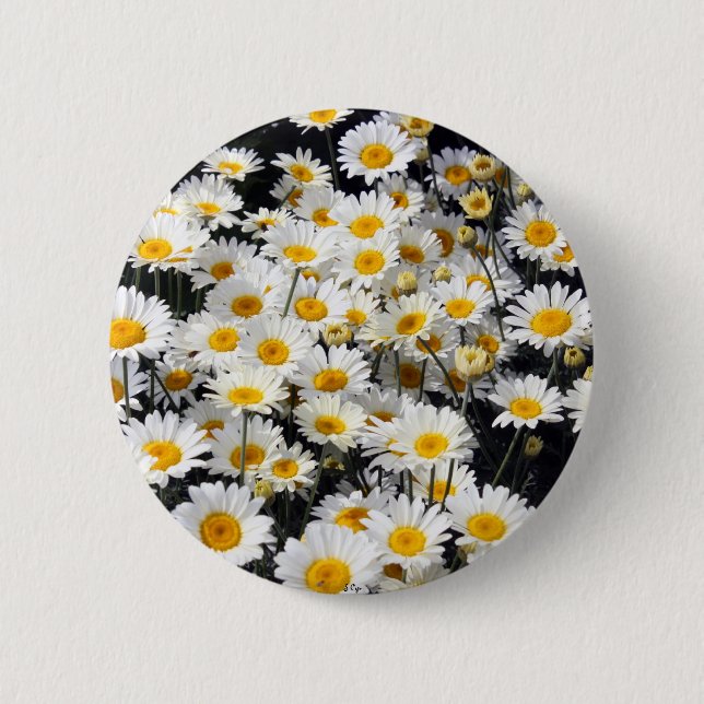 Daisy Delight Pinback Button (Front)