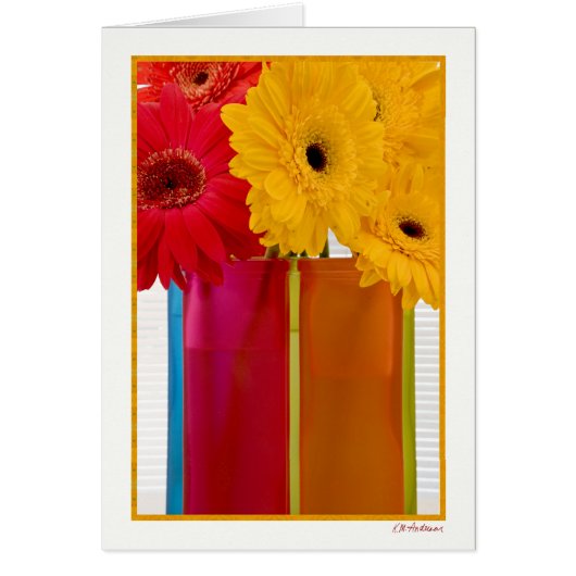 Daisy delight VII Cards (Front)