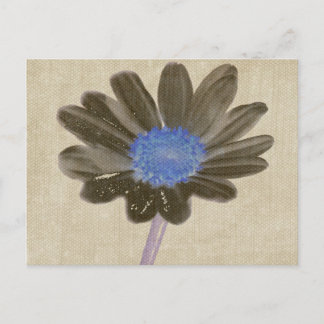 Daisy Digital Art Postcard