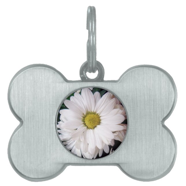 *Daisy* Dog Collar Tag (Front)