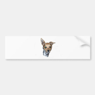 Daisy Doodle Bumper Sticker