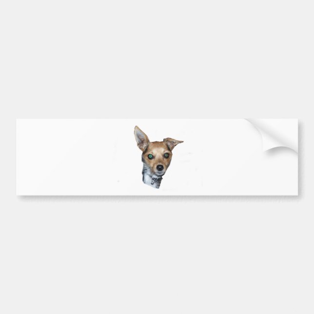 Daisy Doodle Bumper Sticker (Front)