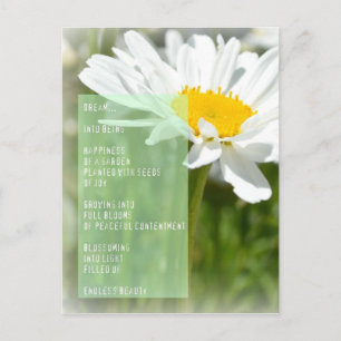 Daisy Dream Poem Inspirational Post Card
