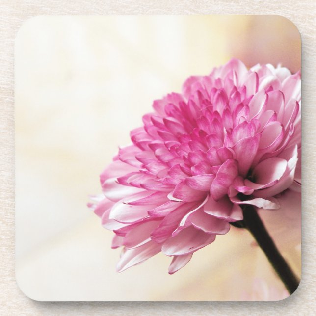 Daisy Drink Coaster (Front)