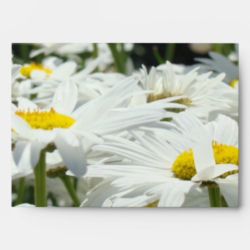 Daisy Envelopes custom Greeting Card Envelope