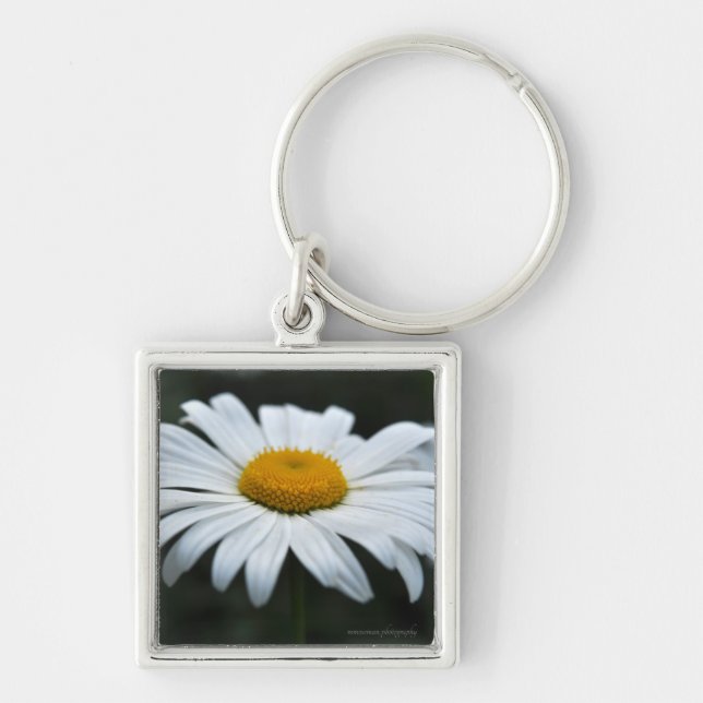 Daisy - Face Up Keychain (Front)