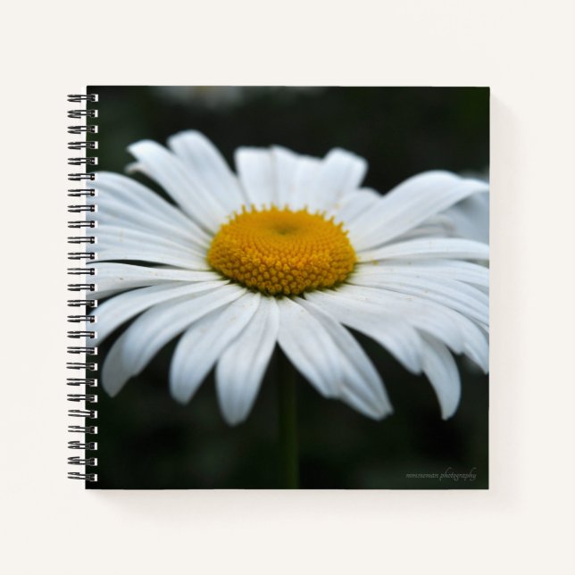 Daisy - Face Up Notebook (Front)
