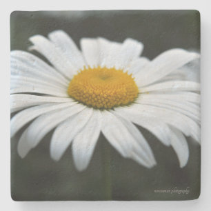 Daisy - Face Up Stone Coaster
