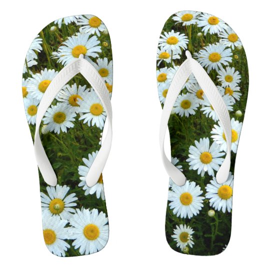 daisy flip flops