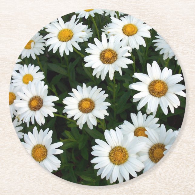 Daisy Field Paper Coaster (Front)