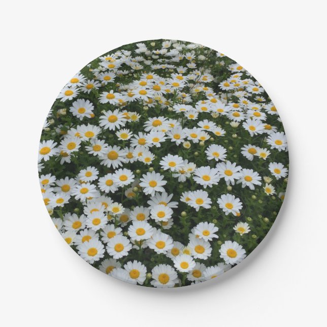 Daisy Field Paper Plates (Front)