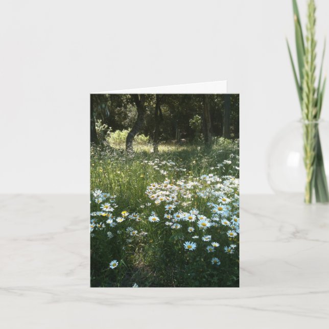Daisy Field Personalized Greeting Card (Front)