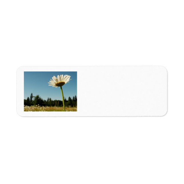 Daisy Field Return Address Label (Front)
