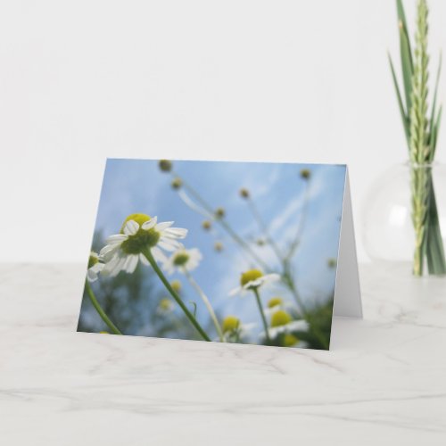 Daisy Field Stationary Note Card