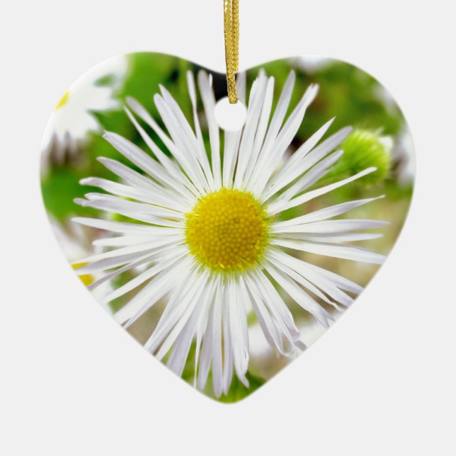 Daisy Fleabane Ceramic Ornament (Front)