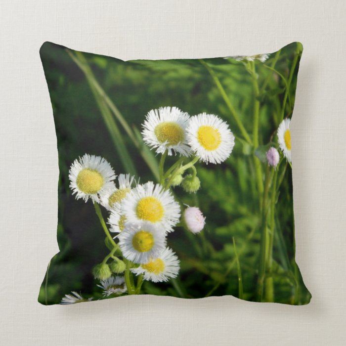 Daisy Fleabane Pillow