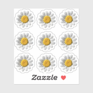 Daisy Floral White Flower Blossom Sticker