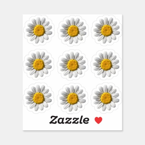 Daisy Floral White Flower Blossom Sticker