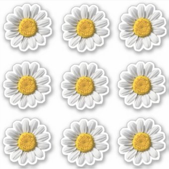 Daisy Floral White Flower Blossom Sticker | Zazzle