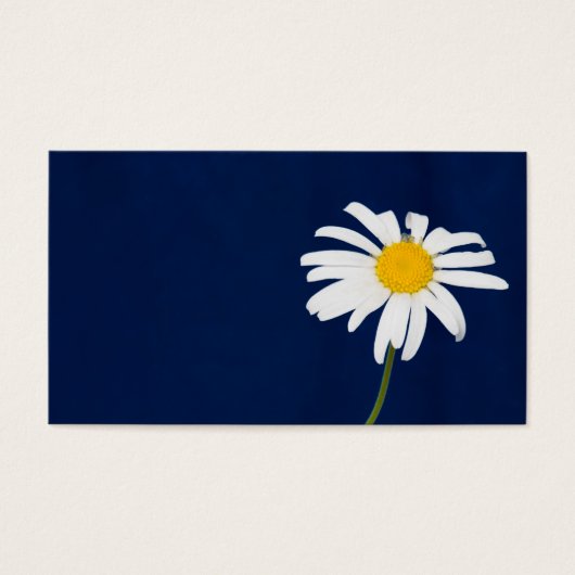 Daisy flower (Front)