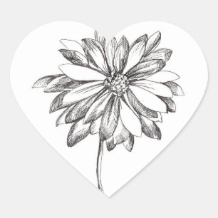 Daisy Flower Black Pen and Ink Drawing Heart Sticker