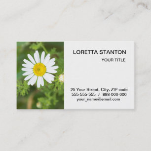 Daisy flower business card