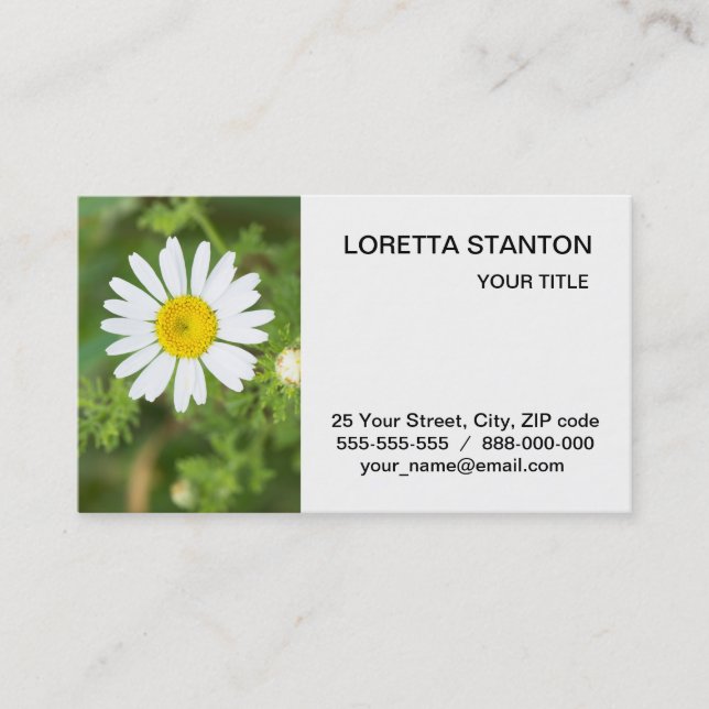 Daisy flower business card (Front)
