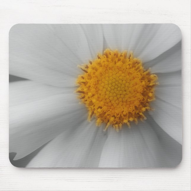 Daisy Flower Close Up Black White Mousepad (Front)