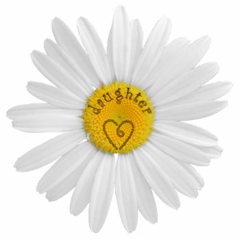 Daisy Flower For Daughter Art Customize Background Cutout by warrior_woman at Zazzle