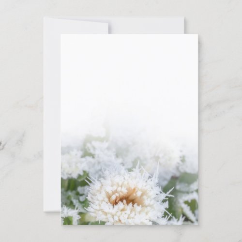 Daisy flower frozen in winter snow and ice invitation