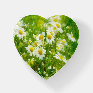 Daisy Flower Garden Art Paperweight