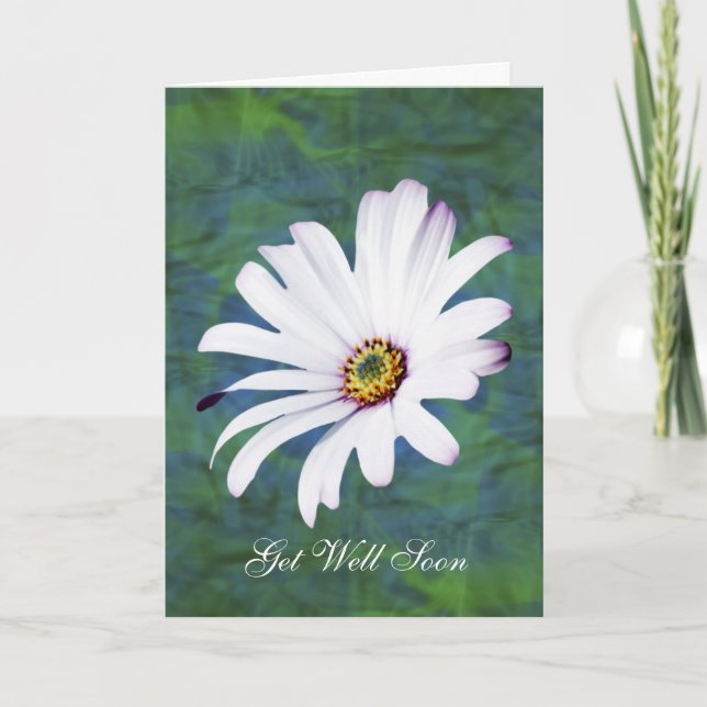 Daisy Flower get well soon Card (Front)