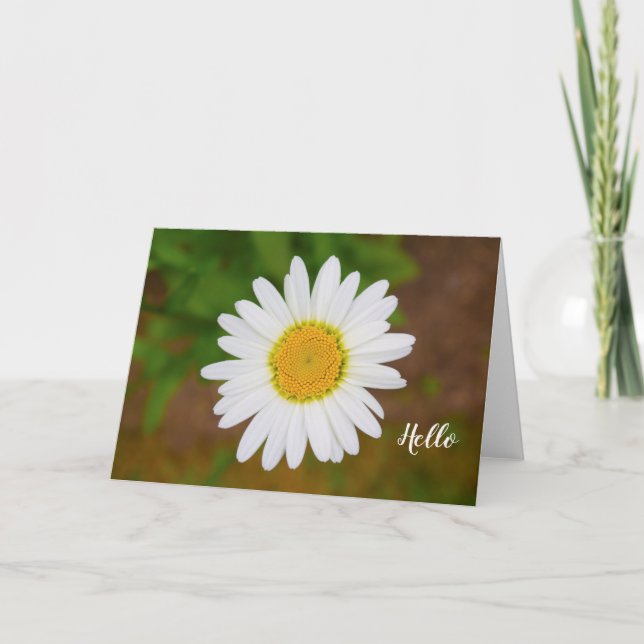 Daisy Flower Greeting Card (Front)