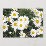 Daisy Flower Invitation