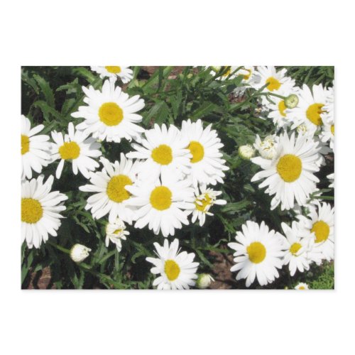 Daisy Flower Invitation