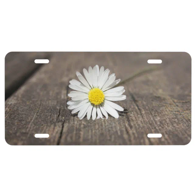 Daisy Flower License Plate | Zazzle