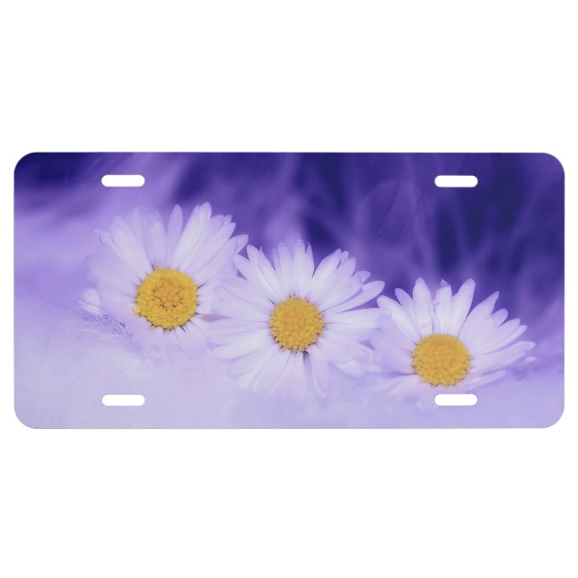 Daisy Flower License Plate (Front)