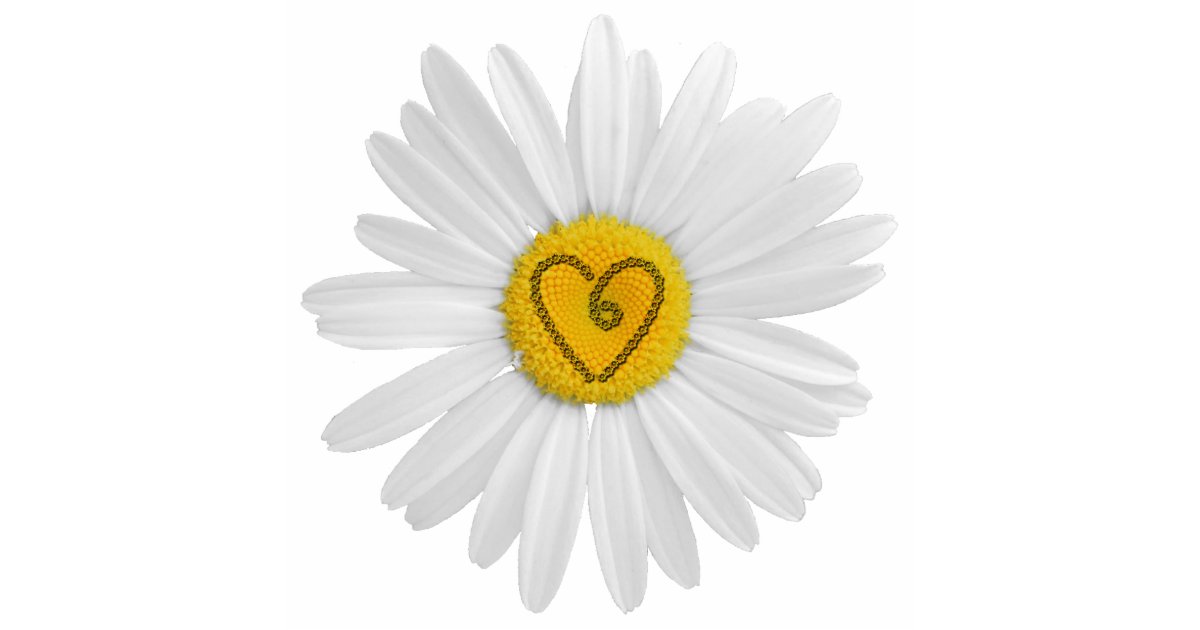 daisy flower cut out